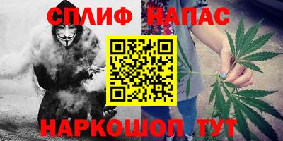spice Краснознаменск