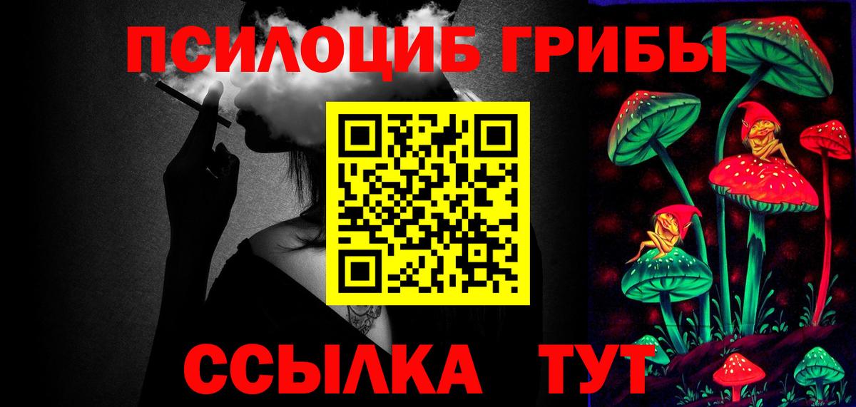 Галлюциногенные грибы Cubensis  закладки  Кемерово  Вход с VPN 